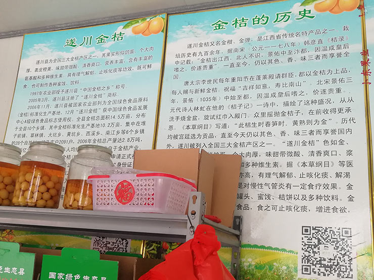 首页- J9集团国际站官网入口