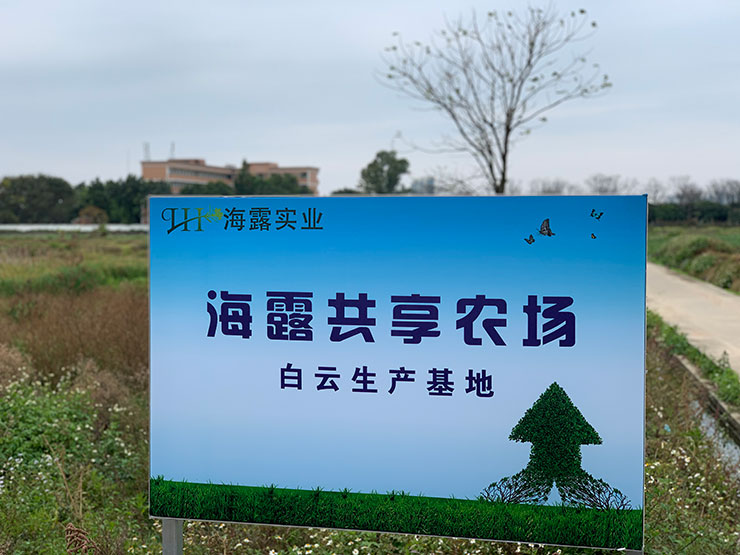 首页- J9集团国际站官网入口