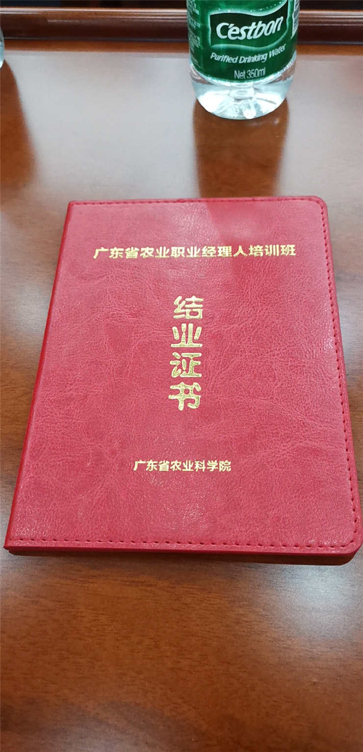 首页- J9集团国际站官网入口