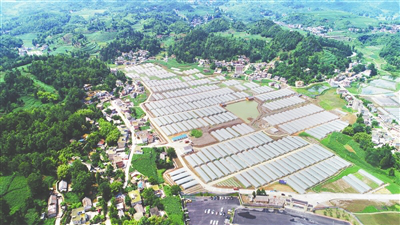 首页- J9集团国际站官网入口