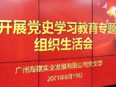 集团党支部发展党史进建教育