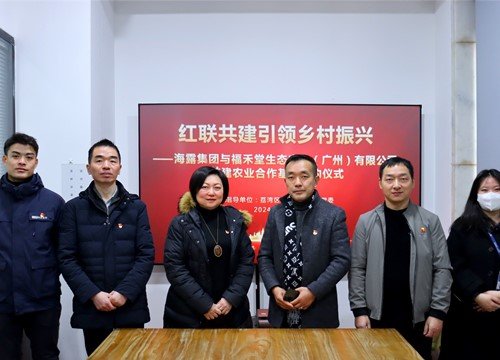 红联共建引领村落振兴，党建促业务深度融合