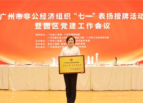 标杆引领，荣誉升级！集团党支部荣膺广州市非公有造经济组织“双强六好”标