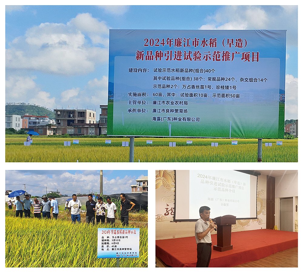 首页- J9集团国际站官网入口