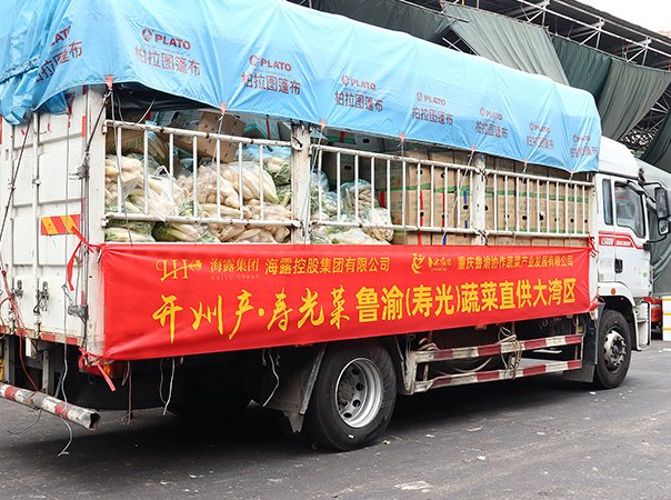 渠路赋能，集团助力沉庆开州蔬菜首发直供大湾区