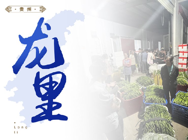 首页- J9集团国际站官网入口